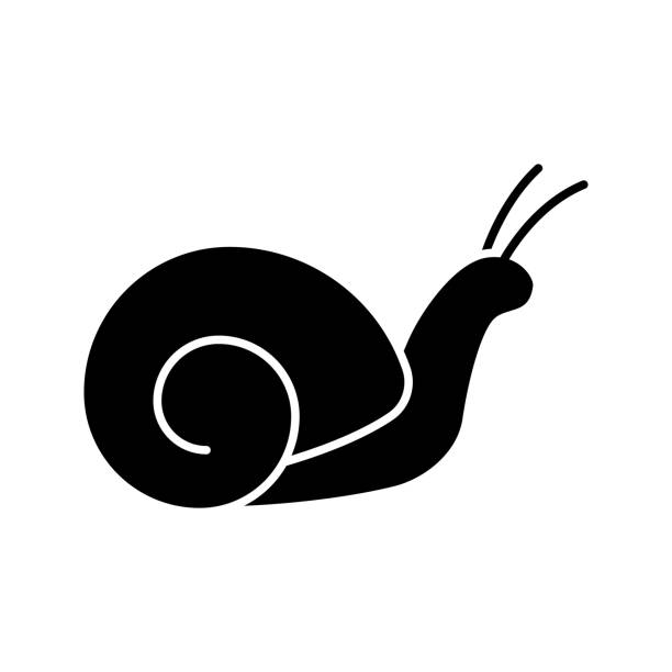 Snail icon Snail glyph icon. Vector silhouette. Slow motion. Slug snail stock illustrations
