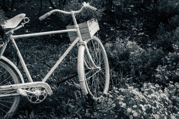 istock Bicycle in the garden with flowers box 1070595342