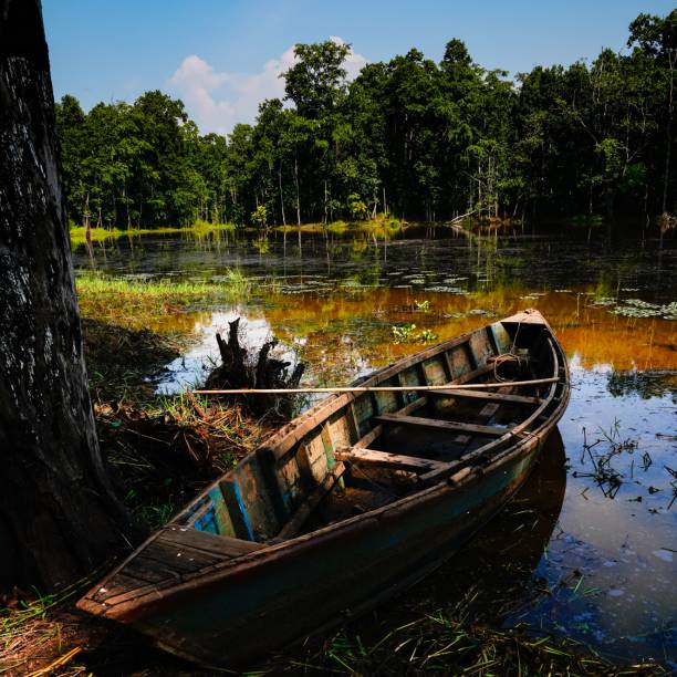 Chitwan region, Nepal An old boat waits for its patron on a secluded lake in the jungle of The Chitwan region of Nepal. chitwan national park photos stock pictures, royalty-free photos & images