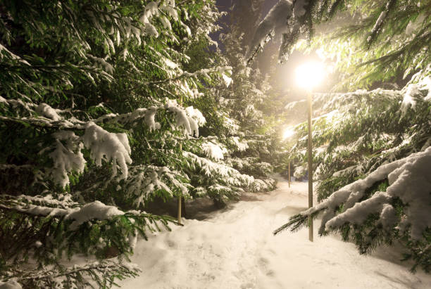 istock Beautiful winter landscape with snow covered trees. Winter mountains. 1070613900