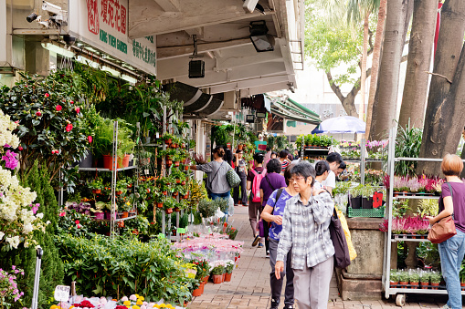 Flower Market in Mongkok, Hong Kong - 26 October 2018 : The Flower Market in Mong Kok is a popular place to buy fresh flowers and plants.