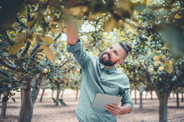 istock Hipster Plant Health Inspector 1070615216
