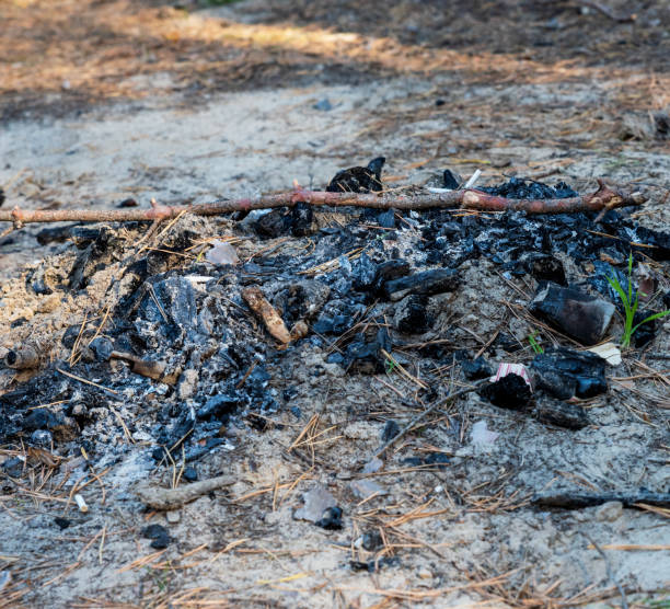 istock extinguished bonfire in the forest on the sand 1070617048