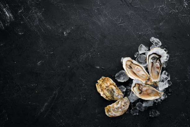 istock Oysters with ice and lemon on black stone background. Seafood. Top view. Free copy space. 1070624982