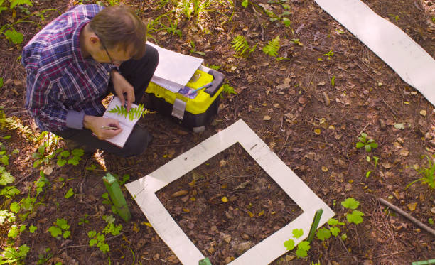 istock The man ecologist describes the plants inside the square marking site. 1070637008