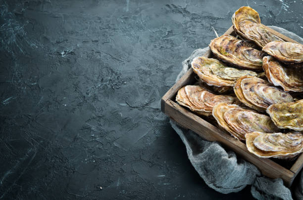 istock Fresh closed oysters. Seafood On a black stone background. Top view. Free copy space. 1070638720