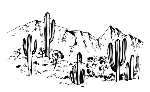 bildbanksillustrationer, clip art samt tecknat material och ikoner med skiss över amerikas öknen med kaktusar. prärien landskap. hand dras vektorillustration - desert cactus