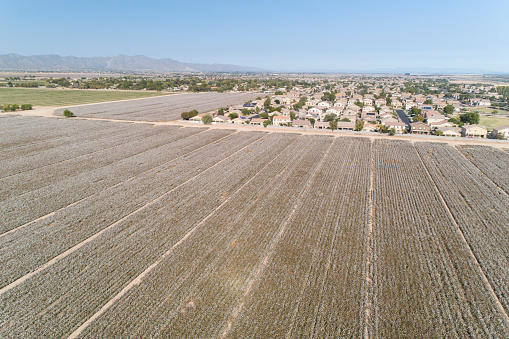 Cotton Farms with encroaching development, Buckeye, AZ 11/18/18