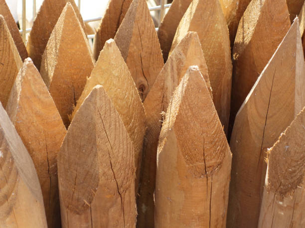 istock wooden fence spikes 1070643790