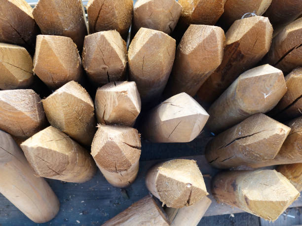 istock wooden fence spikes 1070646370