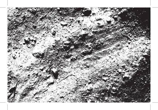 Vector illustration of Vector texture of  withered earth