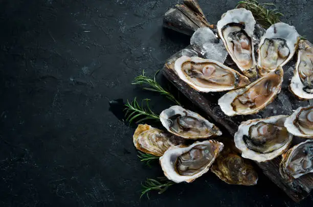Photo of Oysters with ice and lemon on black stone background. Seafood. Top view. Free copy space.