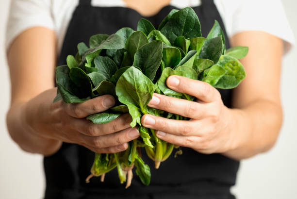 Woman With Fresh Spinach stock photo
