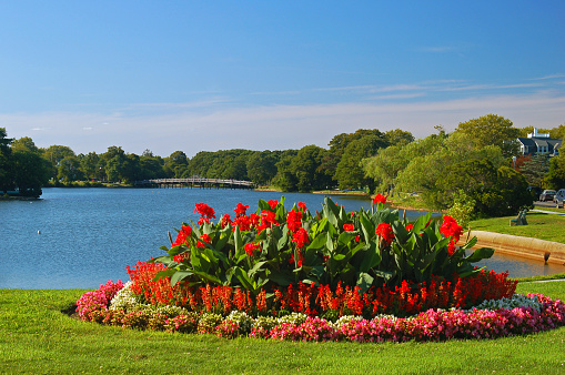 A beautiful, blooming summer garden sits at the edge of a serene lake