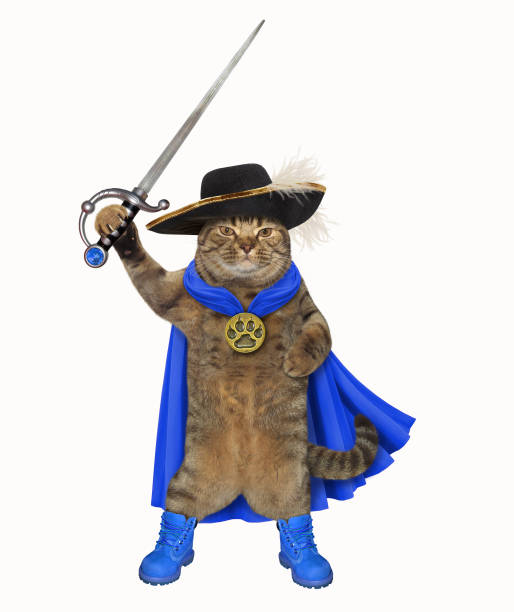istock Cat in a blue cloak holds a sword 1070682944