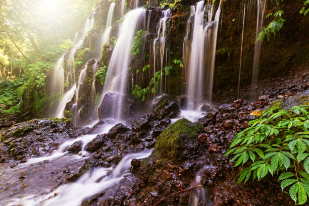 istock Banyu Wana Amertha Waterfall in Wanagiri Buleleng Regency Bali 1070691082