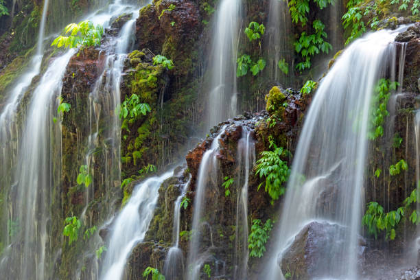 istock Banyu Wana Amertha Waterfall in Wanagiri Buleleng Regency Bali 1070691086