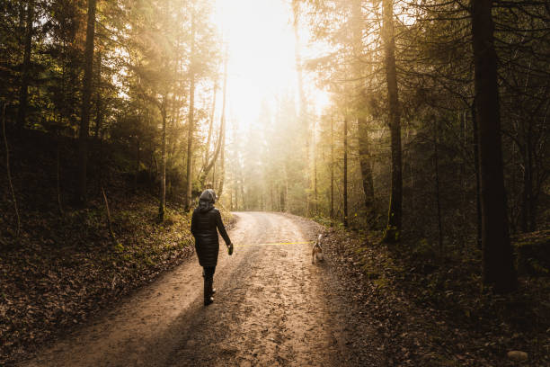 istock Girl in sun rays walking with beagle dog on leash in forest path. 1070693190