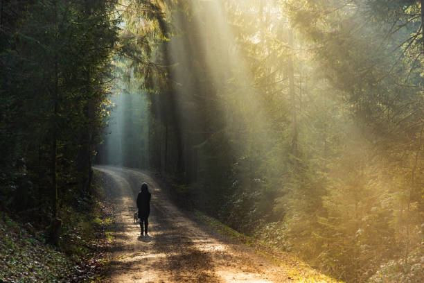 istock Girl in sun rays walking with beagle dog on leash in forest path. 1070693366
