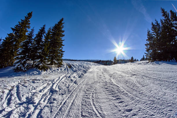 istock Snow covered spruces in  winter in the mountains Beskidy 1070699178