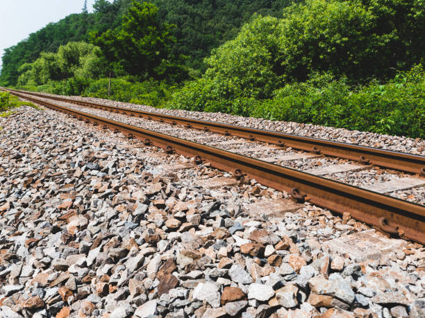 istock Railway tracks in the forest. South Korea 1070699312