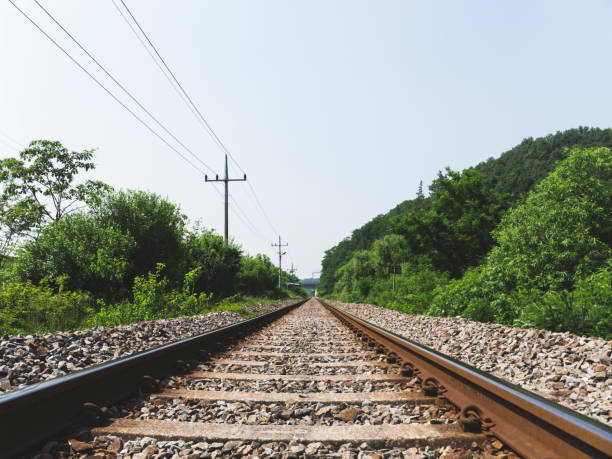 istock Railway tracks in the forest. South Korea 1070699476