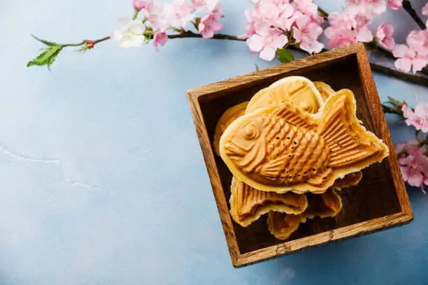 Taiyaki Japanese street food fish-shaped sweet filling waffle in wooden box and sakura branch on blue background copy space