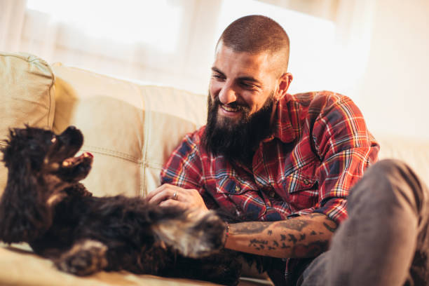 istock Handsome man with cute dog at home 1070707404