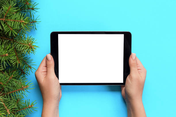female hands with tablet computer on pink christmas background. Xmas tree branch top view.