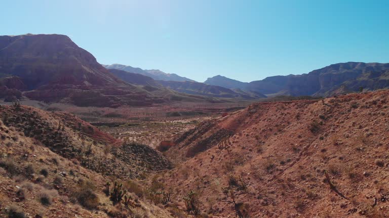 Ascending Trucking Forward Aerial Drone Shot of Joshua Trees in a Utah Desert Valley with Mountains in the Background Under a Clear, Blue Sky