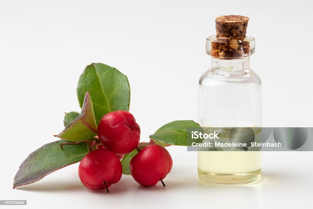 A bottle of wintergreen essential oil with fresh wintergreen twigs A bottle of wintergreen essential oil with fresh Gaultheria procumbens plant on a white background Gaultheria Procumbens Stock Photo