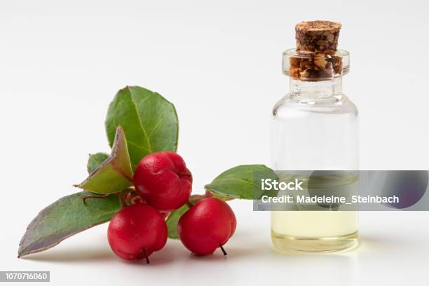 A Bottle Of Wintergreen Essential Oil With Fresh Wintergreen Twigs Stock Photo - Download Image Now