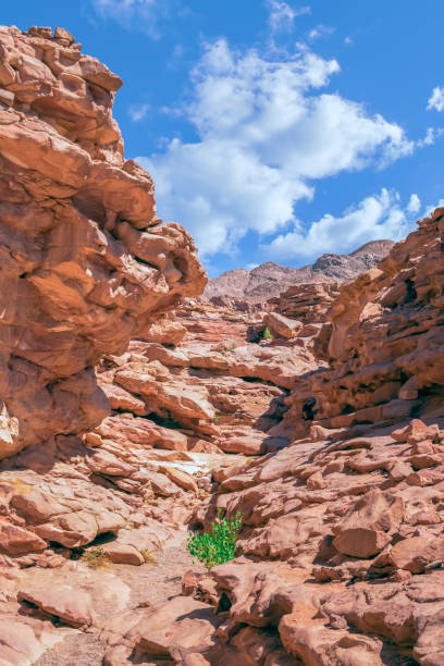 Colored canyon in Nuweiba Dahab Colored canyon in Nuweiba Dahab taba stock pictures, royalty-free photos & images
