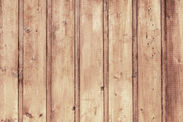 istock Old light brown wooden door background texture 1070719528