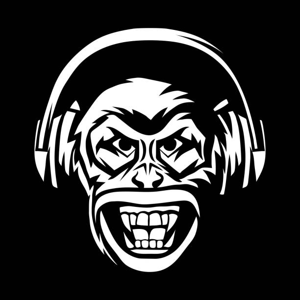 Angry monkey head in headphones. Angry monkey head in headphones. Aggressive animal musical poster or emblem design. white gorilla stock illustrations
