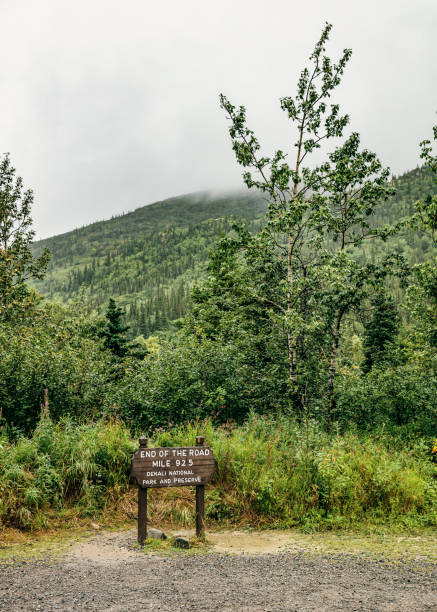 istock Denali National Park and Preserve 1070724272