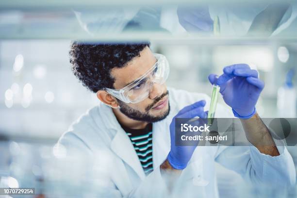 研究室で働く科学者 - 実験室のストックフォトや画像を多数ご用意 - 実験室, 科学者, 研究