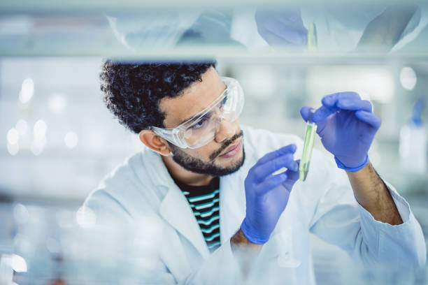 scientist working in the laboratory - laboratory test tube chemistry biology imagens e fotografias de stock