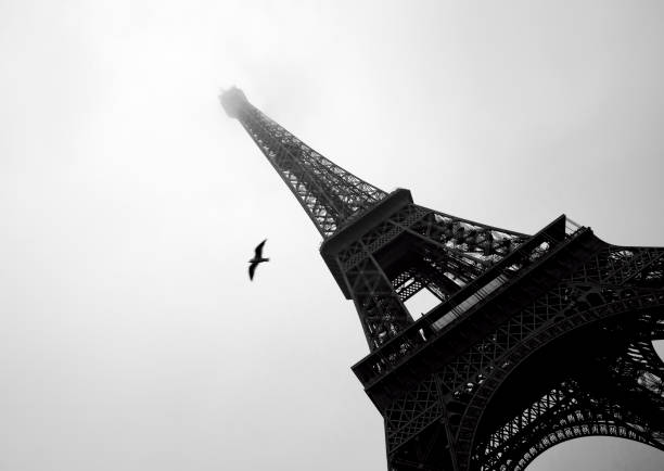 istock Eiffel tower in Paris. Travel concept photo. 1070730248