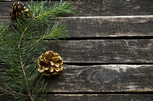 Christmas or new year flat lay background with copy space. Fir tree branches and golden cones on aged wooden background.