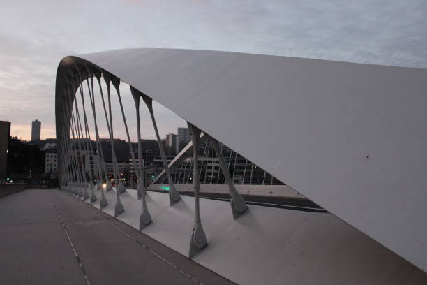 istock LYON - SCHUMAN BRIDGE OVER THE SAONE 1070738080