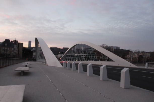 istock LYON - SCHUMAN BRIDGE OVER THE SAONE 1070738088