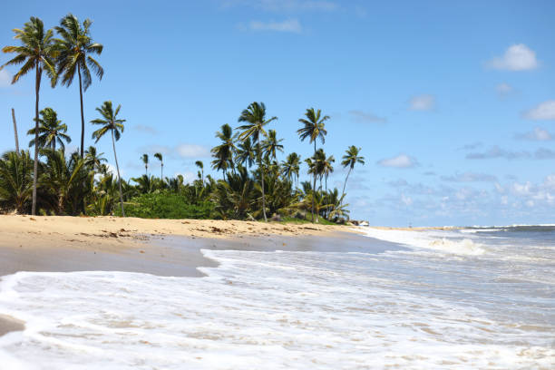 istock Beautiful beach in Dominican Republic 1070738220