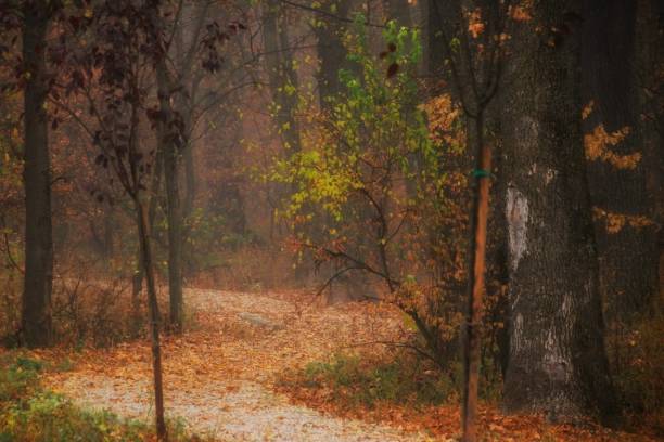 istock Autumn's alley 1070746210