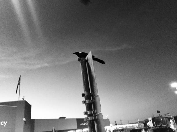 istock Small, Rural American Town, in Black & White 1070753470