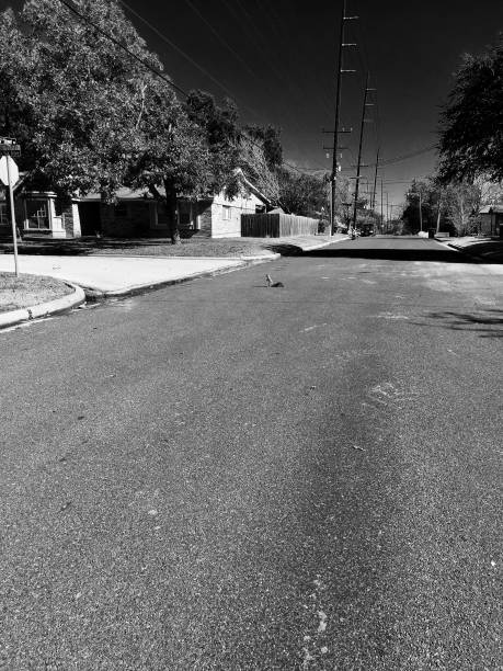 istock Small, Rural American Town, in Black & White 1070753682