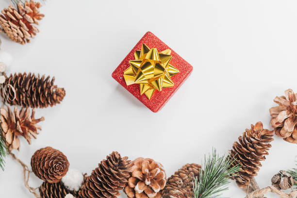 istock Christmas card: red gift box and Christmas tree branch on white 1070758338
