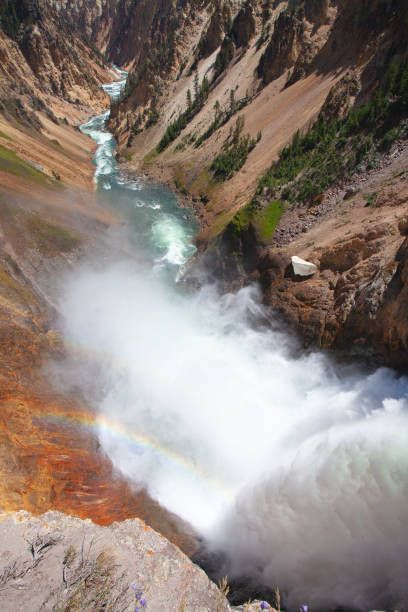 istock The Lower Falls of the Yellowstone River. 1070760700