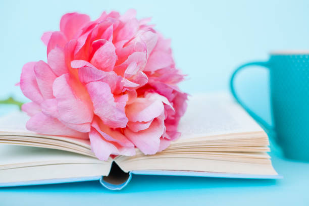 istock Peony flower and book on blue background 1070761874