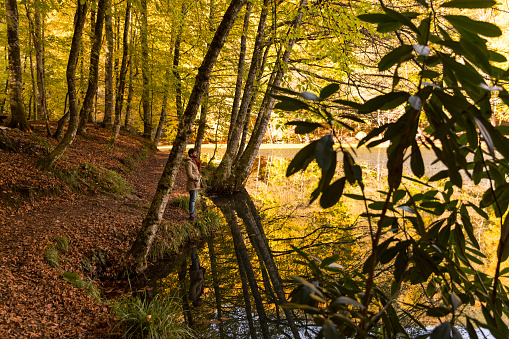 Nature in autumn time - Forest, river
